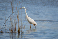 lingezegen_TH_0172