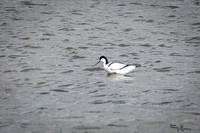 lingezegen_TH_0185