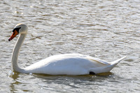 lingezegen_TH_0183