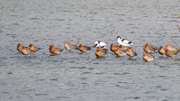 lingezegen_TH_0186