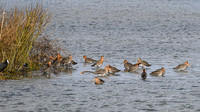 lingezegen_TH_0188