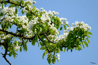 bronsbergen_TH_0389
