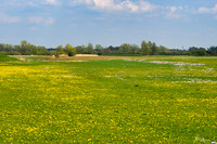 bronsbergen_TH_0388
