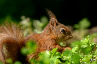 enterveenhut_TH_0485