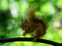 enterveenhut_TH_0488