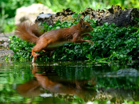 enterveenhut_TH_0490