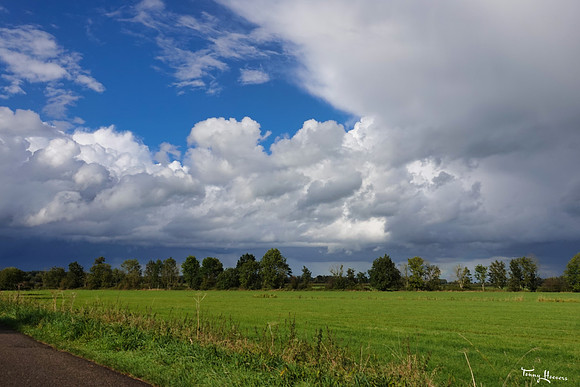havikerwaard_TH_1616