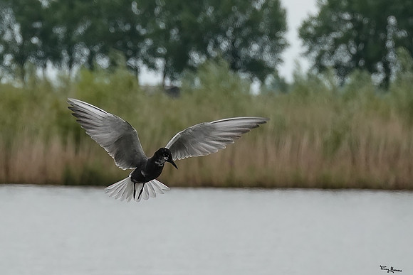 lingezegen_TH_1262