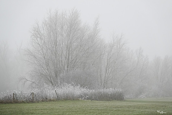 mist_omgeving_TH_0043
