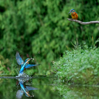 tuinhut1_TH_1205