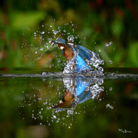 tuinhut1_TH_1211