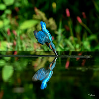 tuinhut1_TH_1215