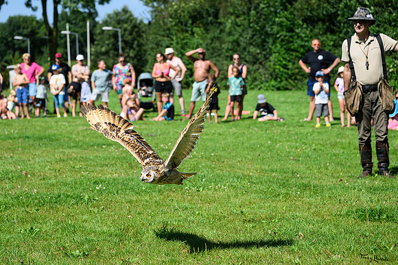 valkenhof_TH_1436