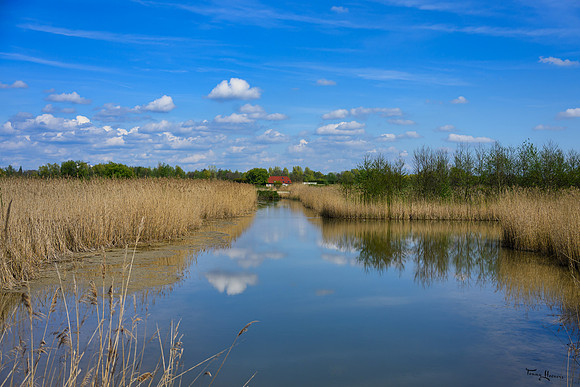 lingezegen_TH_0631