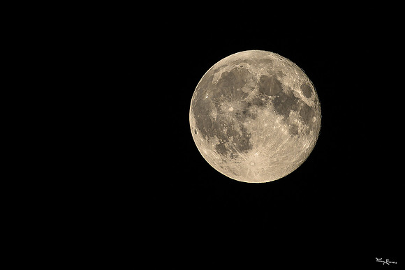 vollemaan_TH_1627