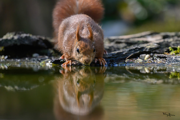 enterveenhut_TH_0555