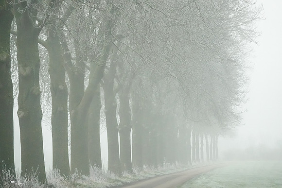 mist_omgeving_TH_0054