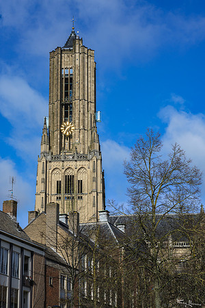 arnhem_TH_0148