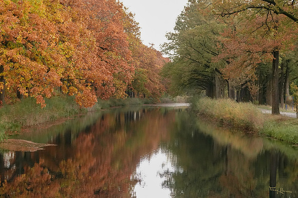 apeldoorndierens_kanaal_TH_1850