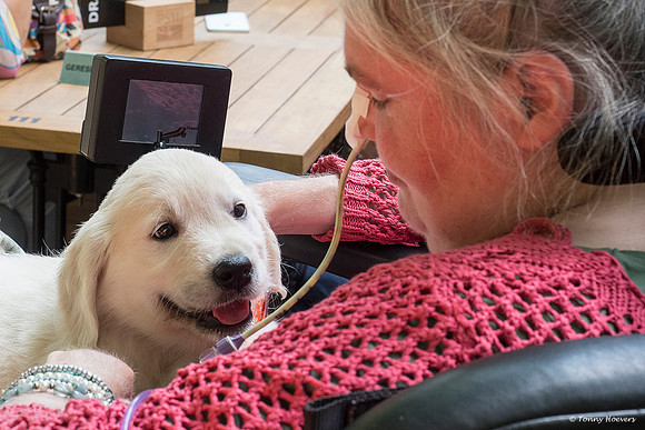 pups-joplynn-6weken_TH_1968