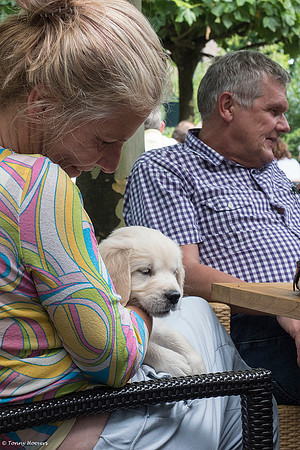 pups-joplynn-6weken_TH_1972