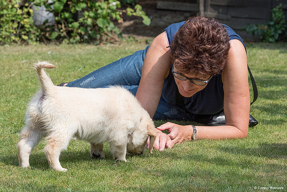 pups-joplynn-6weken_TH_1958