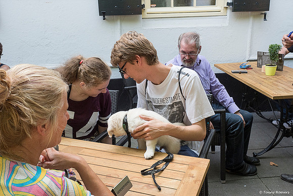 pups-joplynn-6weken_TH_1963