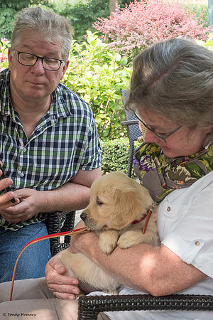 pups-joplynn-6weken_TH_1967