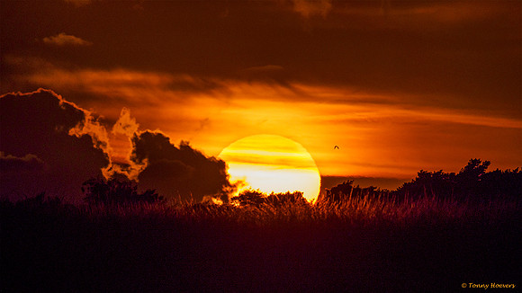 hogeveluwe_TH_2026