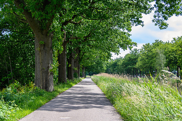 rondje_lingezegen_TH_0907