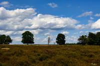 hoge_veluwe_TH_1192
