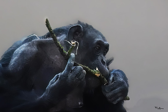 burgerszoo_TH_0032