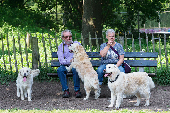 reunie_isselhoeve_TH_05079