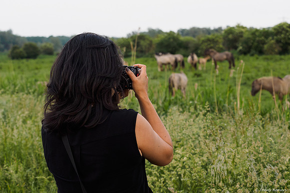 oostvaardersplassen_TH_05250
