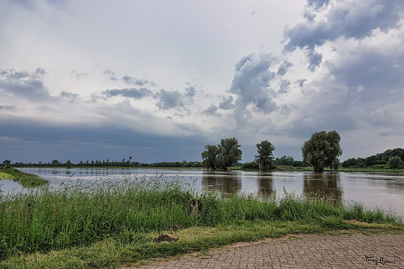 rondje_scoot_TH_0820