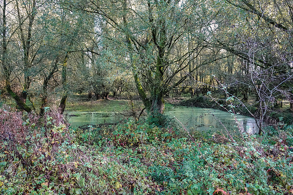 meinerswijk_TH_1924