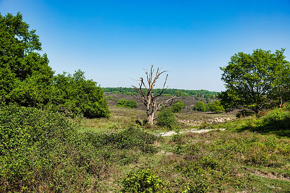 rondje_scoot_TH_0658
