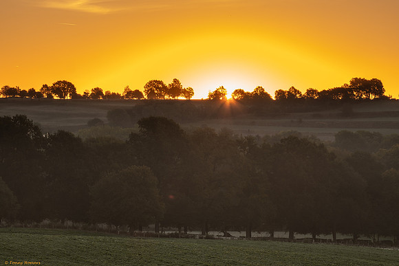 kasteel_neubourg_TH_06758