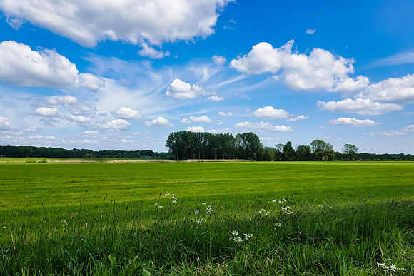 rondje_scoot_TH_0711