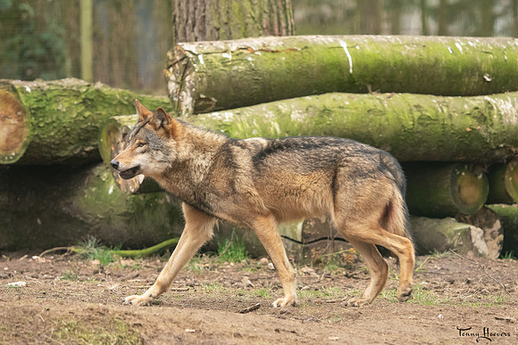 frankenhof_TH_07842
