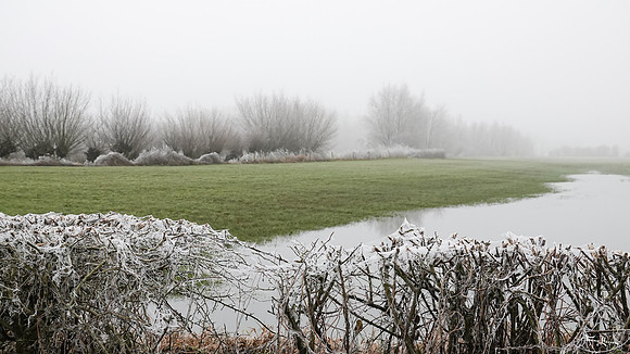 mist_omgeving_TH_0042