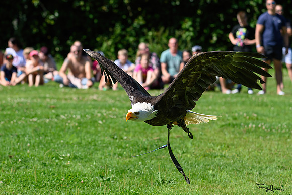 valkenhof_TH_1438