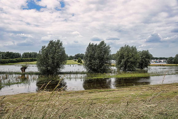 rondje_scoot_TH_0963