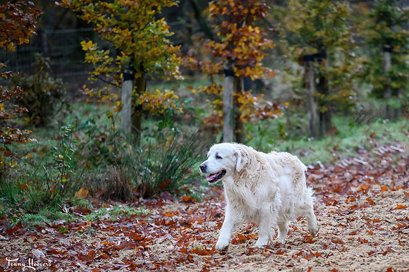 Melody 13 jaar
