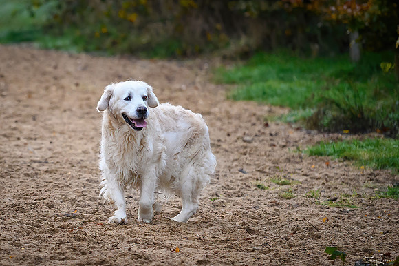 Melody 13 jaar
