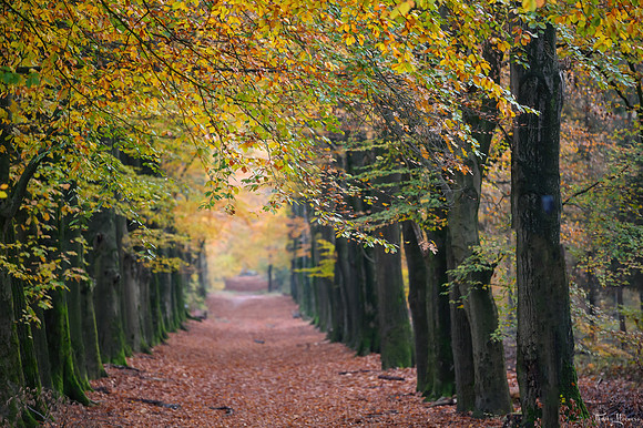 wandelen_TH_09522
