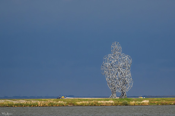 lelystad_TH_09362