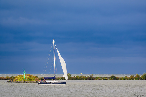 lelystad_TH_09364