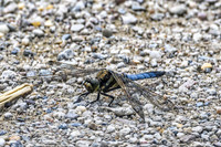 rondje_lingezegen_TH_0923
