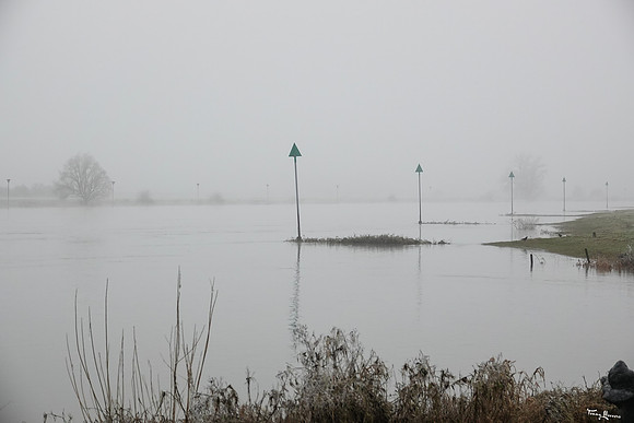 mist_omgeving_TH_0047